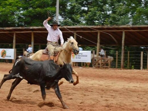 Provas campeiras oferecem diferentes modalidades