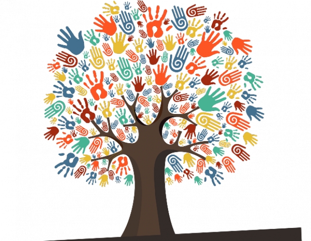 23112015_eduinclusivasem2