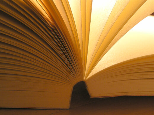 Cheque Livro: 600 exemplares adquiridos