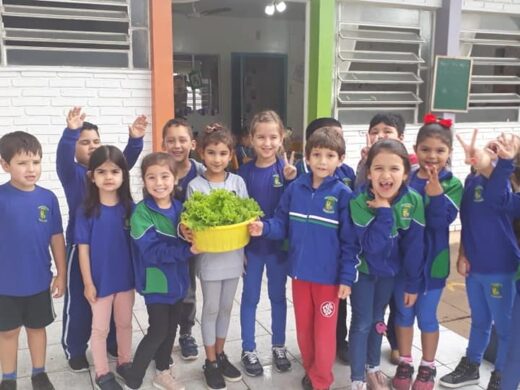 Alunos da escola Rita Sirotsky cultivam horta
