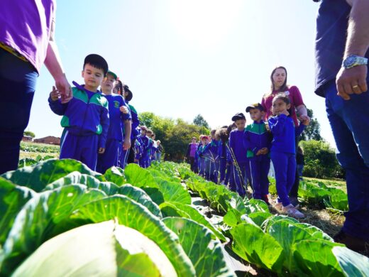 Da escola ao campo: crianças conhecem o processo de produção de hortifrutigranjeiros