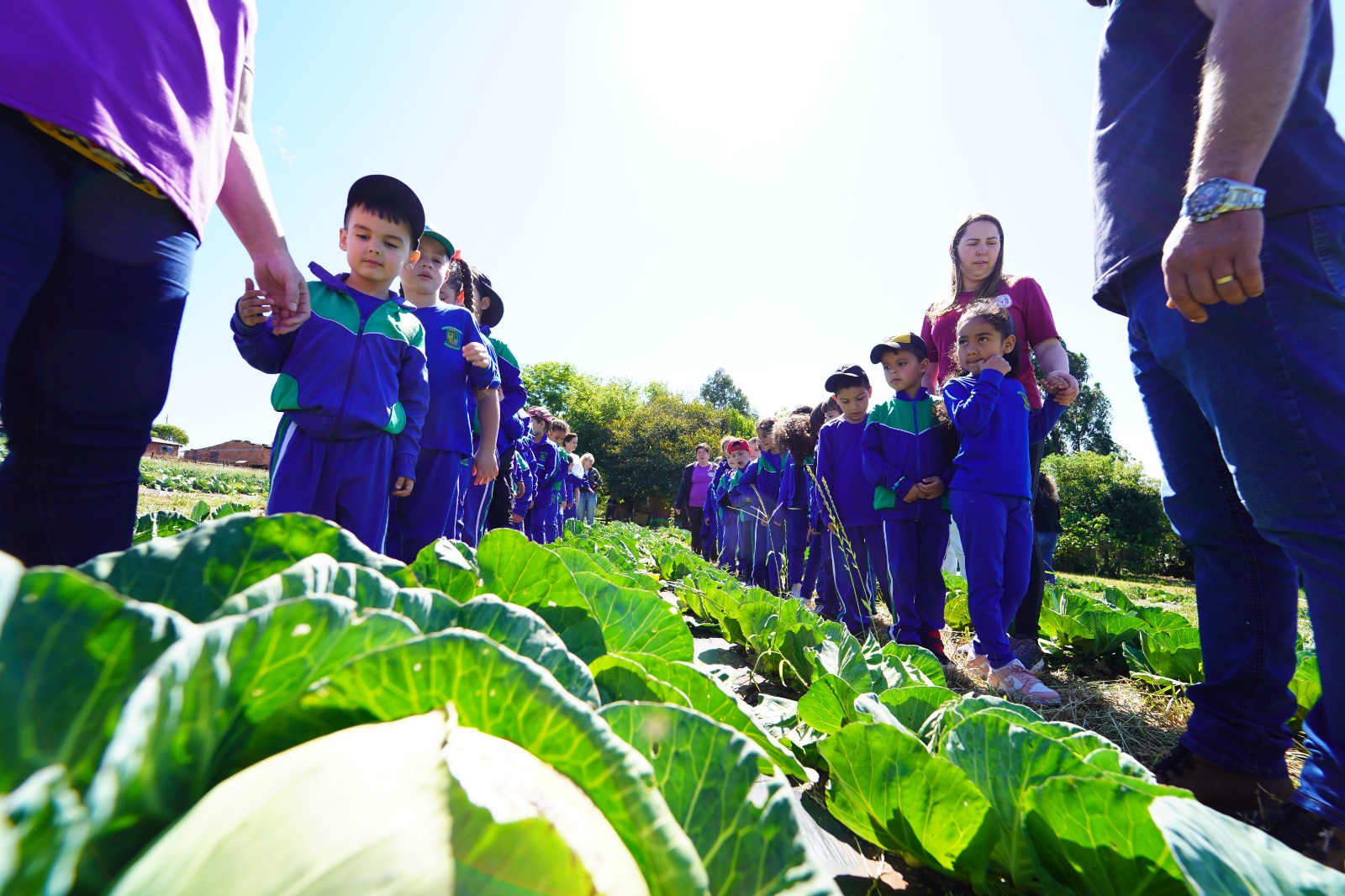 Da escola ao campo: crianças conhecem o processo de produção de hortifrutigranjeiros