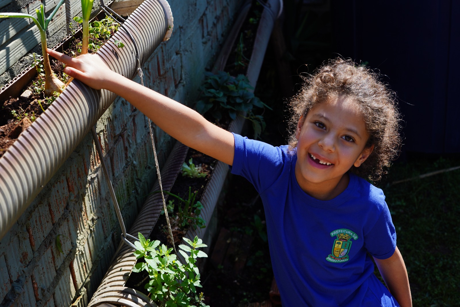 Ki_da_hort@: projeto da Prefeitura transforma a educação de crianças e adolescentes