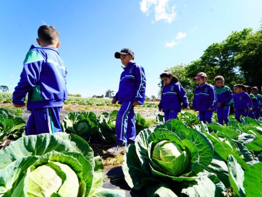 Prefeitura promove processo de qualificação da alimentação escolar através da agricultura familiar