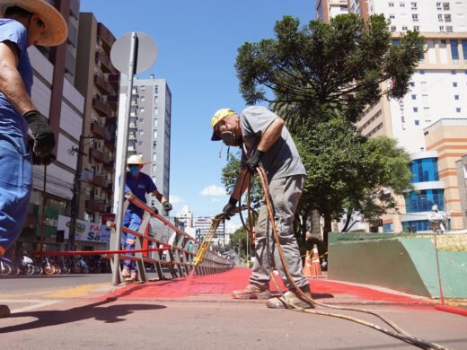 Revitalização da ciclovia na Avenida