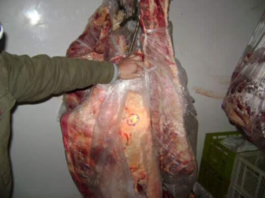 Blitz apreende 430 quilos de carne