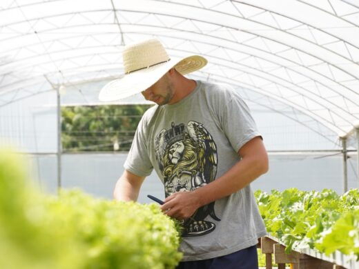 <strong>Prefeitura realiza ação para aquisição de merenda escolar com agricultura familiar</strong>