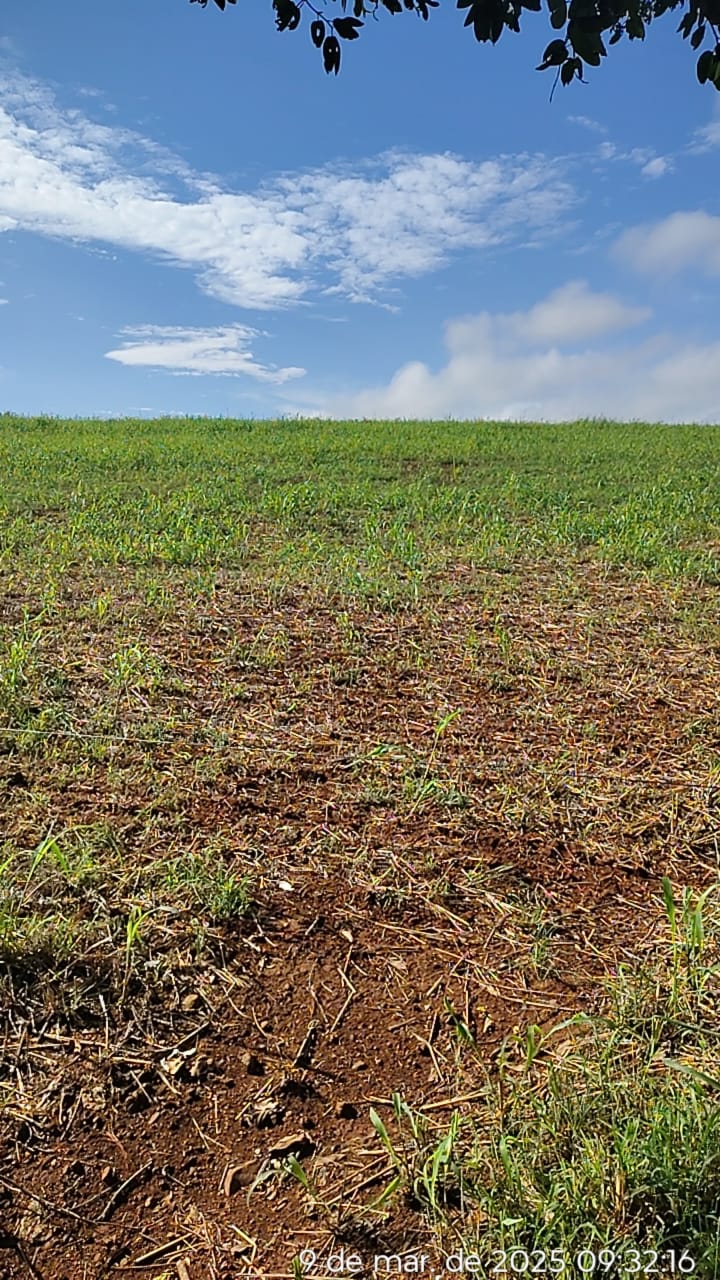 Prefeitura declara situação de emergência devido à estiagem