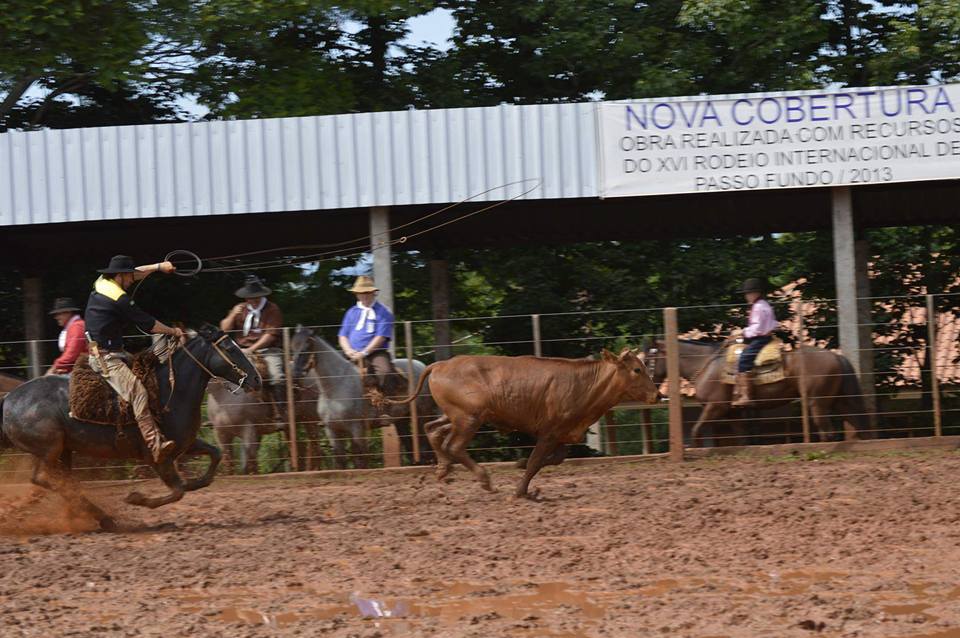 07122015_rodeio2