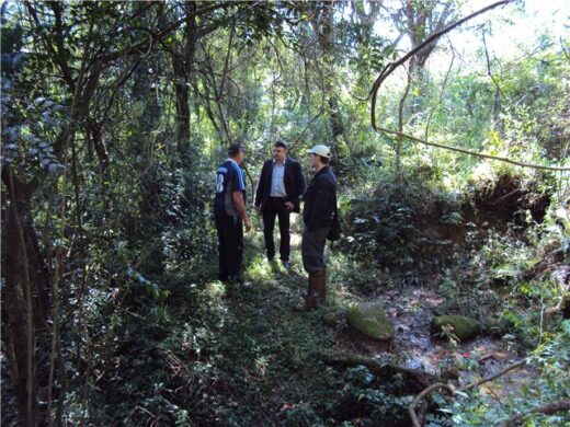 Passo Fundo pode ter 3 novas áreas ambientais preservadas