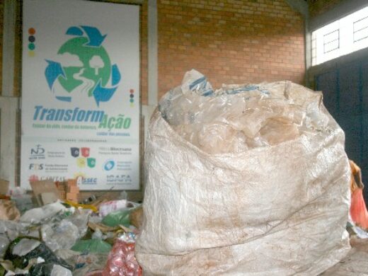 Escola do Schisler vence Gincana Ecológica