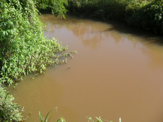Prefeitura intensifica limpeza e preservação do Rio Passo Fundo