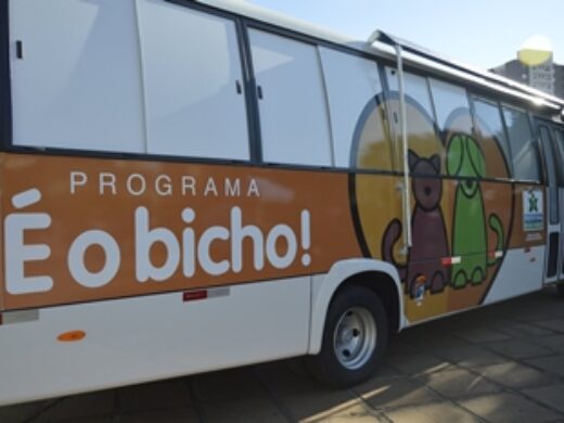 É o Bicho: serviço de castração e cuidados de animais inicia nesta segunda-feira