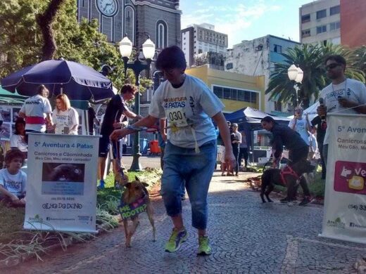 Canicross encerra Semana do Meio Ambiente