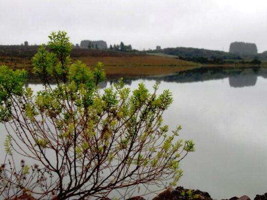 Projeto sobre o Rio Passo Fundo é selecionado