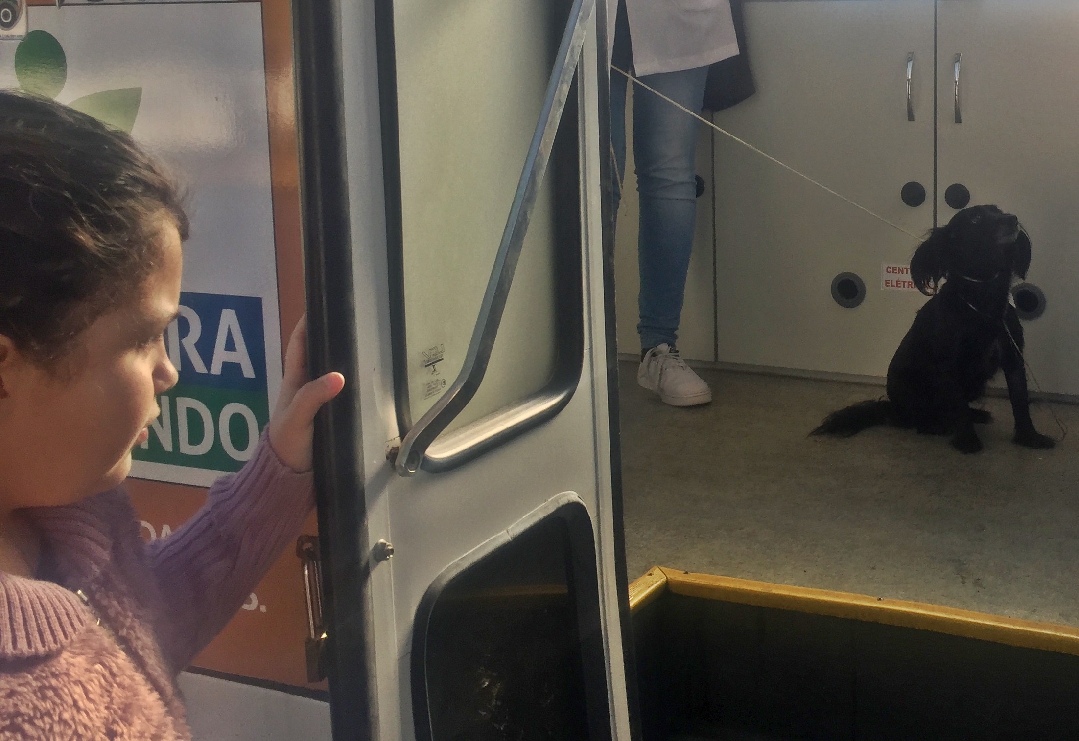 É o Bicho novas clínicas veterinárias Secretaria de Meio Ambiente É o Bicho novas clínicas veterinárias Secretaria de Meio Ambiente