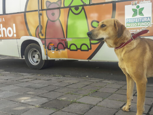 É o Bicho atende comunidade da Operária