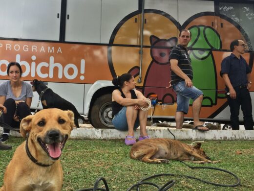 Chamada pública para clínicas veterinárias