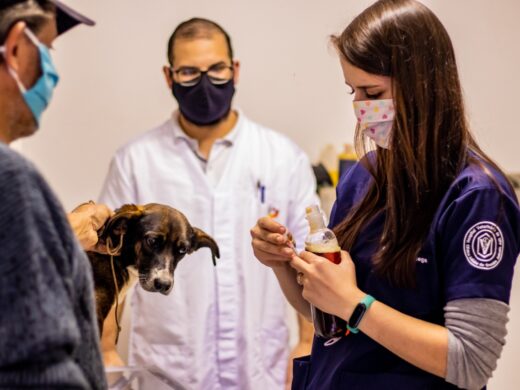 Reforços no ambulatório veterinário municipal