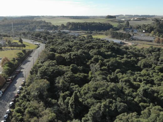 Dia Internacional da Biodiversidade