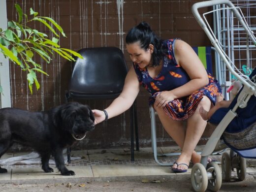 Prefeitura estimula adoções de cães e gatos