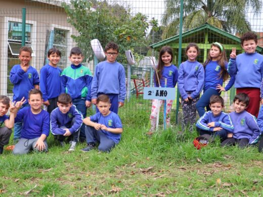 No Dia da Árvore, alunos avaliam o crescimento de árvores nativas plantadas há um ano