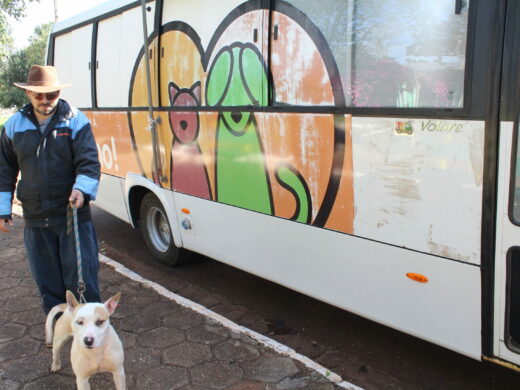 Prefeitura de Passo Fundo leva ônibus do É o Bicho para o interior e castra gratuitamente os animais