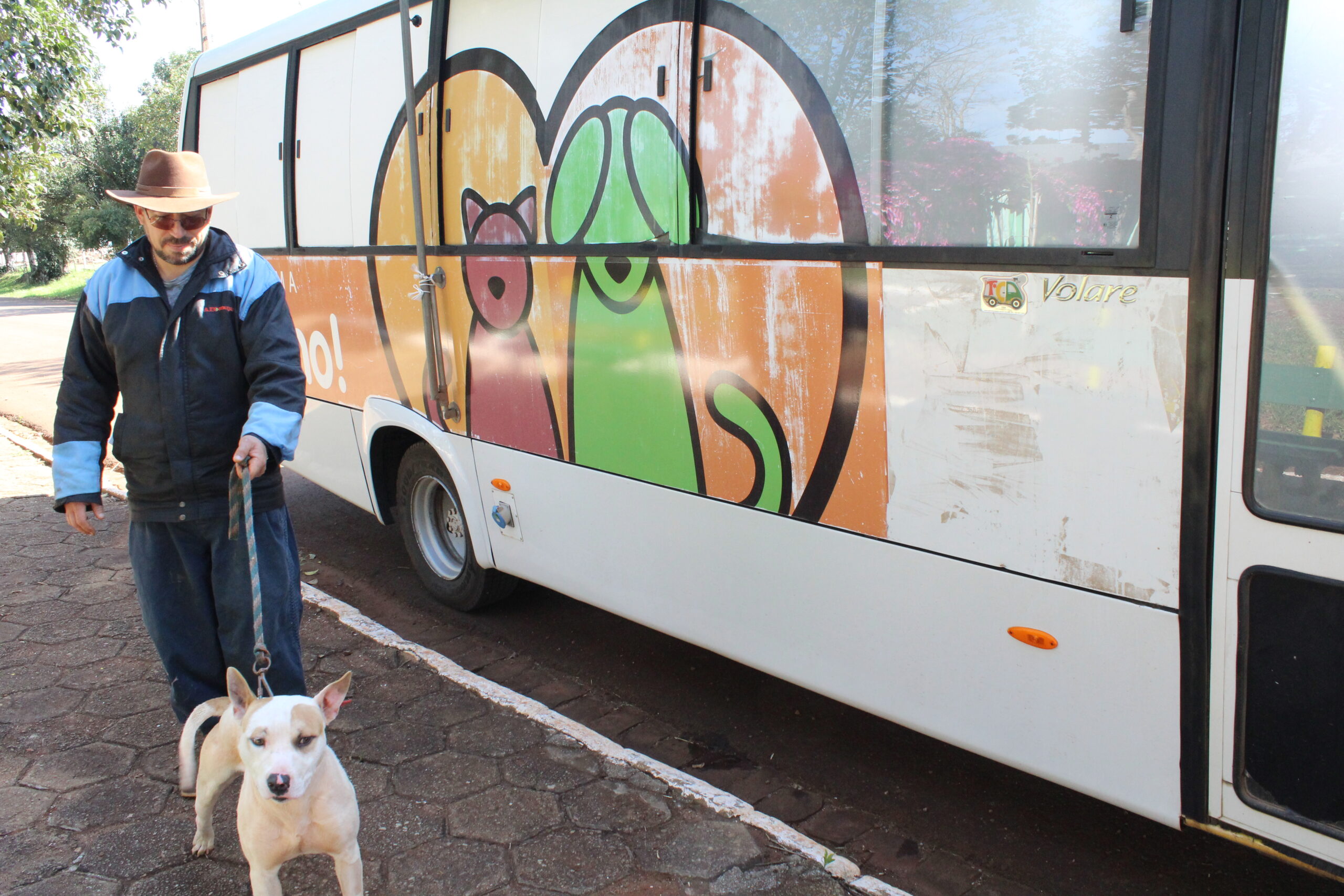 Prefeitura de Passo Fundo leva ônibus do É o Bicho para o interior e castra gratuitamente os animais
