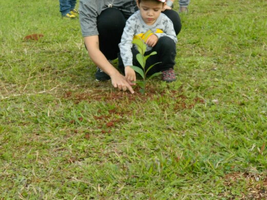 Prefeitura celebrou o Dia Mundial do Meio Ambiente com ações de conscientização e plantio de Erva-Mate