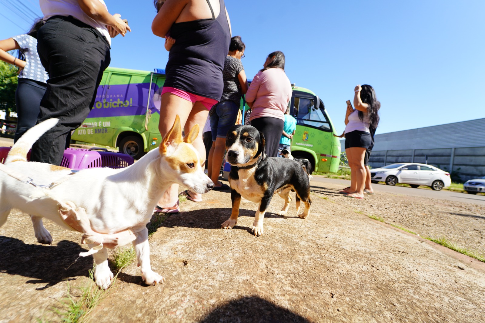 Prefeitura destaca políticas públicas voltadas aos animais