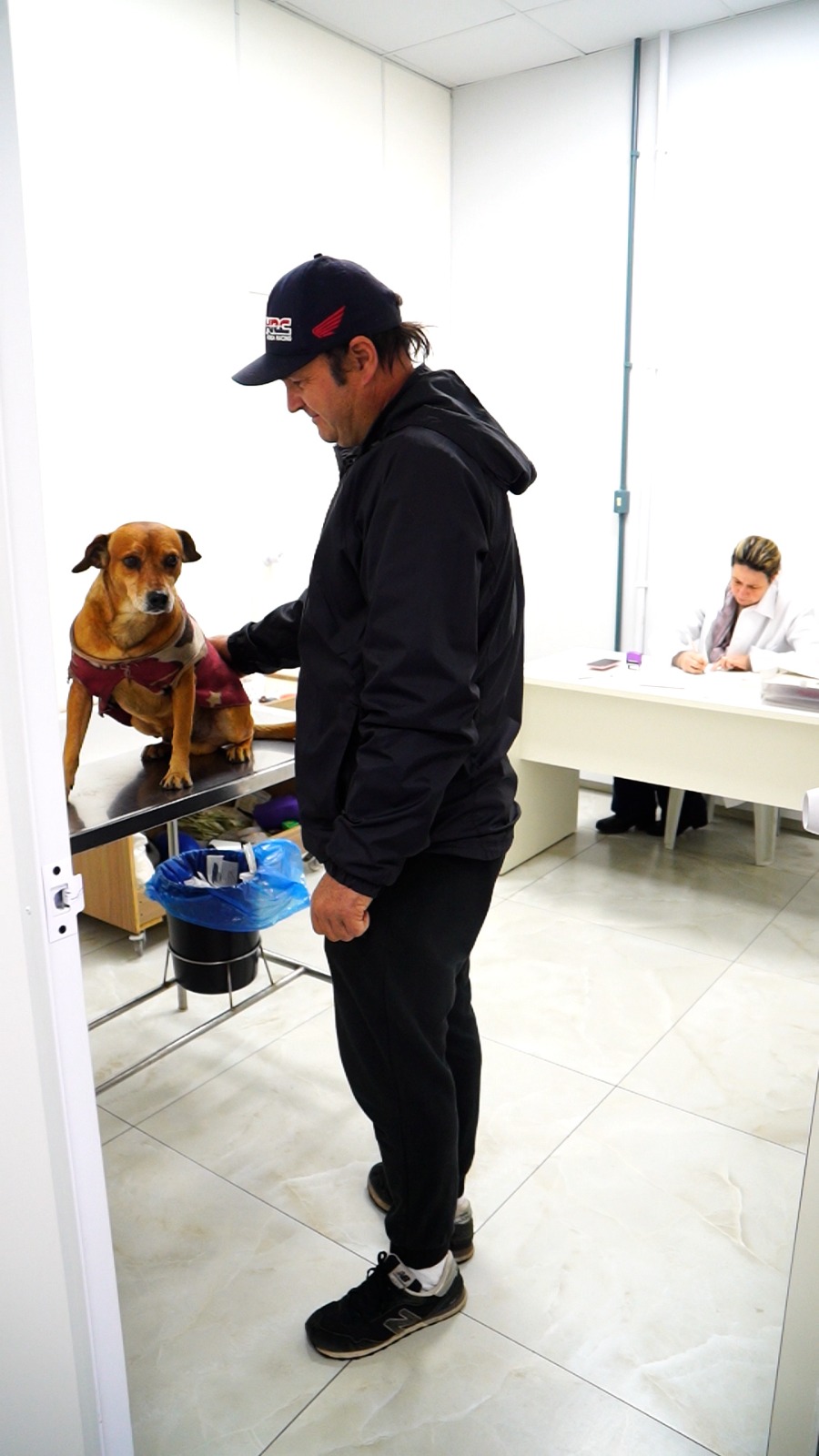 Coordenadoria de Bem-Estar Animal da Prefeitura registra aumento de 20% nos atendimentos