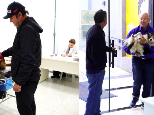 Prefeitura: Coordenadoria do Bem-Estar Animal amplia atendimentos e já ultrapassa 21 mil castrações desde o início do programa “É o Bicho”