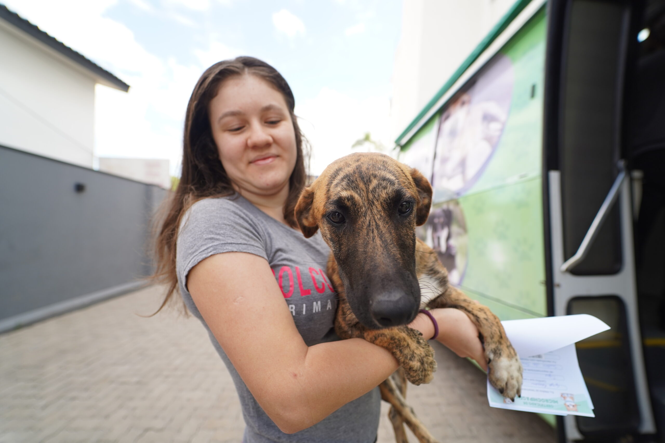 Programa É o Bicho reforça cuidado e proteção aos animais