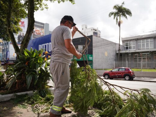 Prefeitura segue com ações de limpeza e organização da cidade após temporal de sábado
