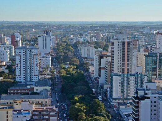 Avenida Brasil: conheça o planejamento da obra
