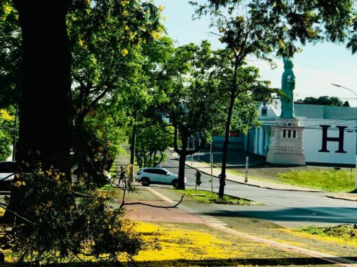 Início do paisagismo na avenida Brasil
