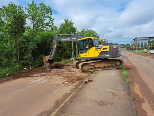 Prefeitura inicia a revitalização da avenida Araucária