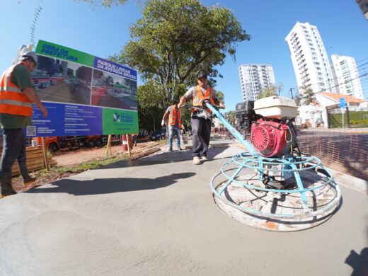 Prefeitura segue com intervenções nos canteiros da Avenida Brasil