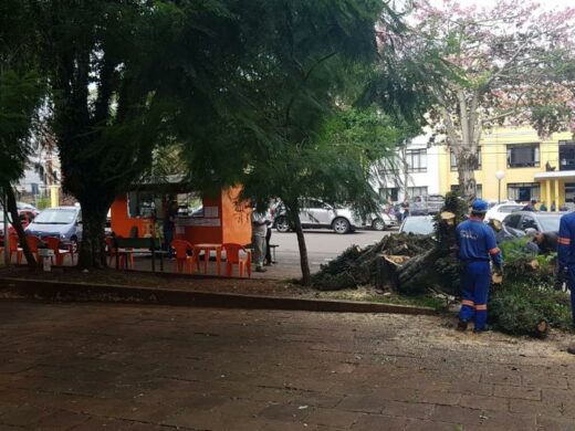 Praça Antonino Xavier tem serviços de recuperação