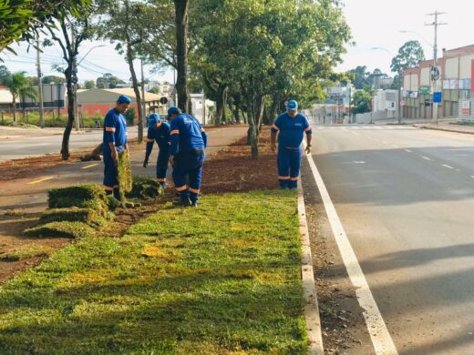 Avenida Brasil: canteiros recebem plantio de grama