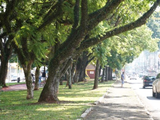 Parque Linear da Avenida Brasil será implementado