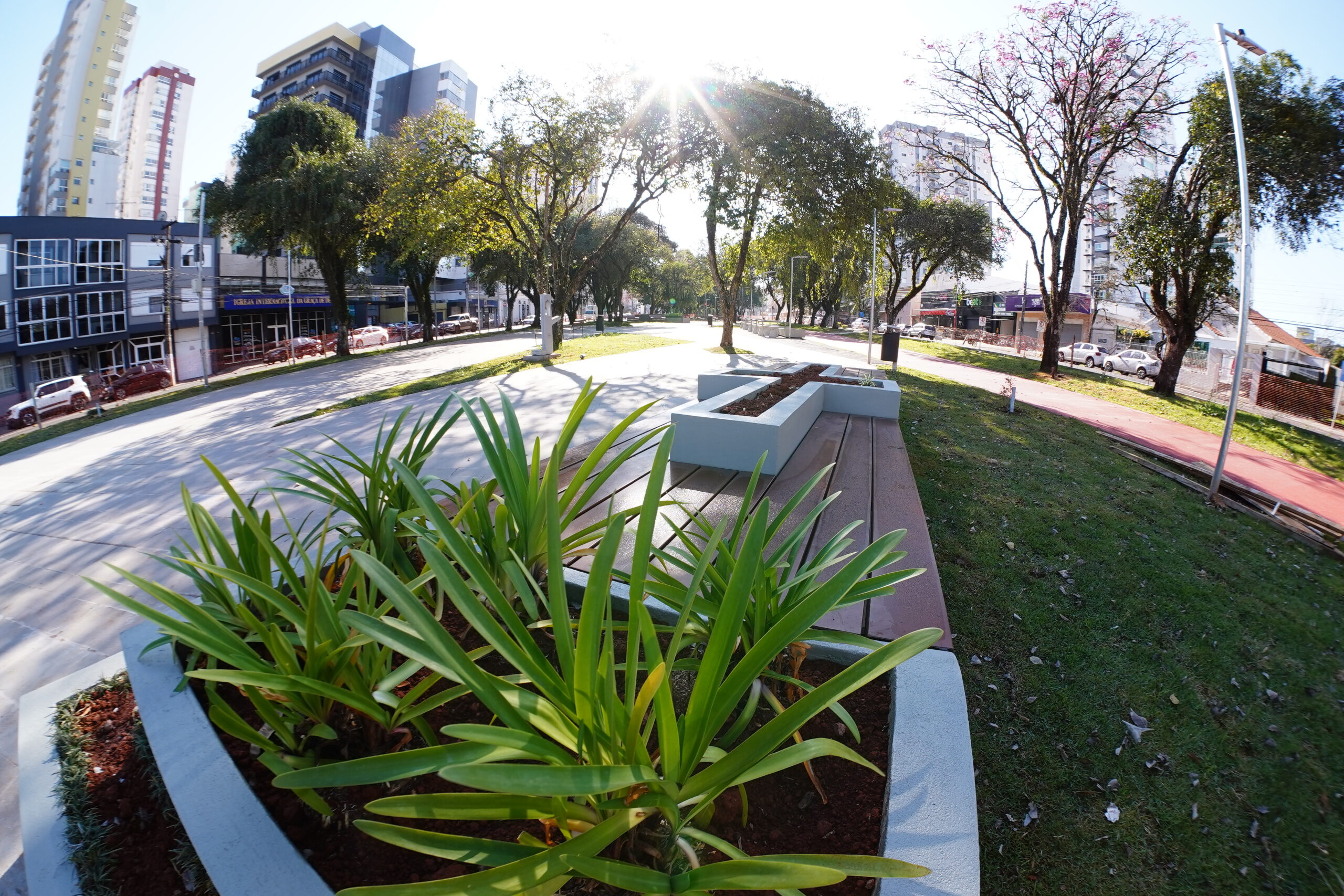Prefeitura entregará nesta semana os primeiros canteiros da Avenida Brasil revitalizados