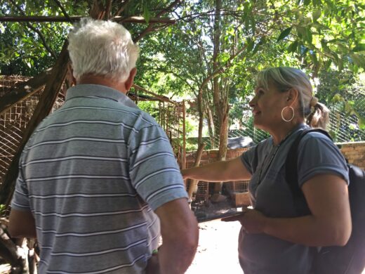 Vigilância contra dengue precisa de colaboração