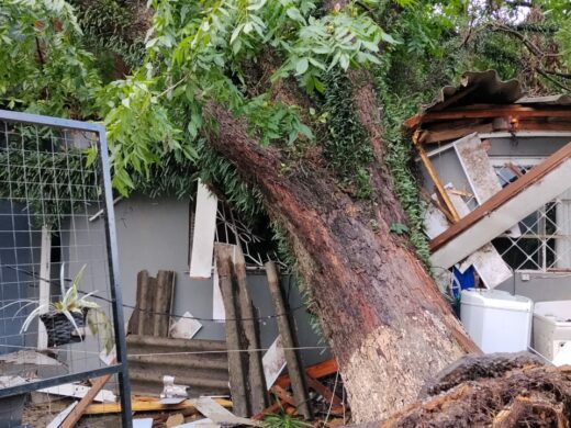 Vendaval atinge Passo Fundo e mobiliza forças de emergência durante a noite de sábado