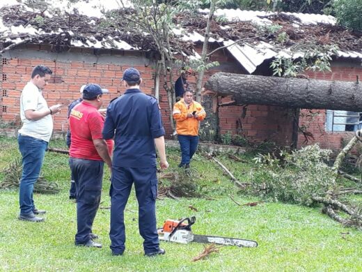 Defesa Civil realiza atendimentos