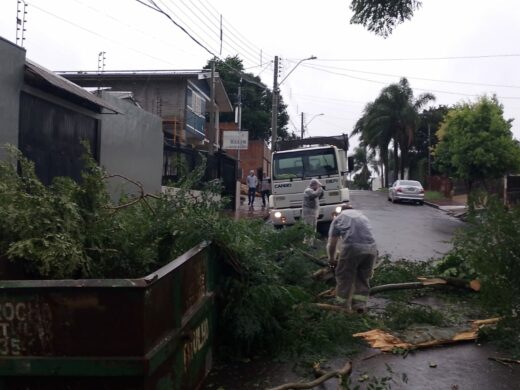 Equipes da Prefeitura e Defesa Civil Municipal atendem ocorrências do temporal