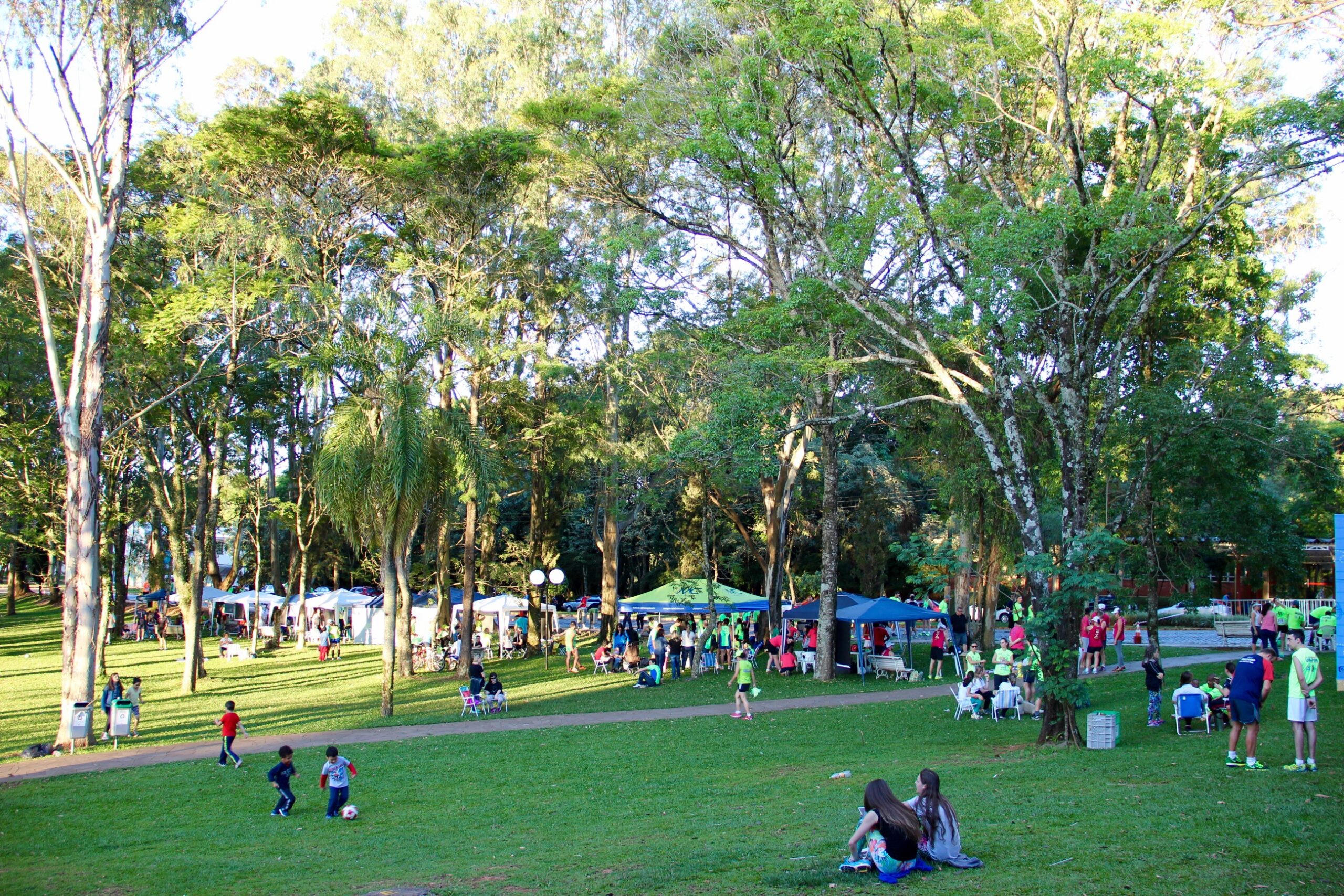 22112015_corrida4e3