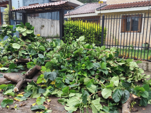 Prefeitura realiza retirada de galhos e limpeza após temporal em Passo Fundo