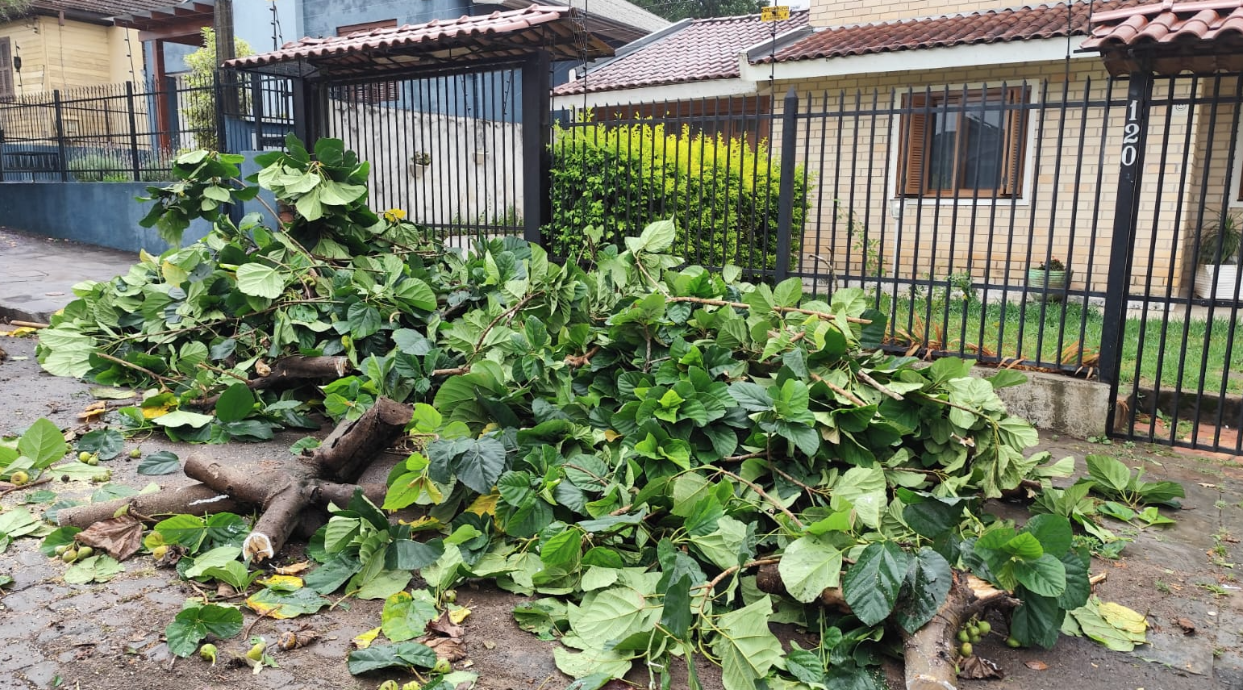 Prefeitura realiza retirada de galhos e limpeza após temporal em Passo Fundo