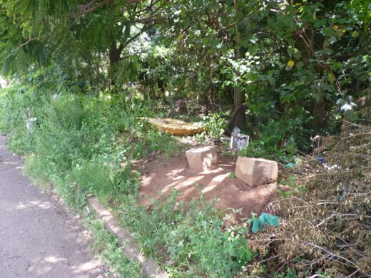 Prefeitura de Passo Fundo vai aumentar fiscalização de terrenos baldios